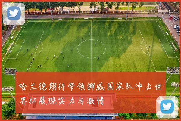 哈兰德期待带领挪威国家队冲击世界杯展现实力与激情