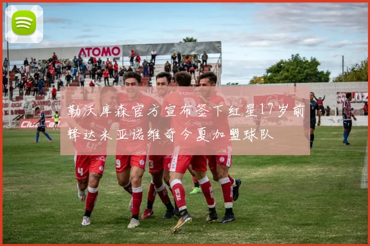 勒沃库森官方宣布签下红星17岁前锋达米亚诺维奇今夏加盟球队