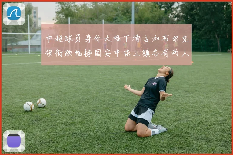 中超球员身价大幅下滑古加布尔克领衔跌幅榜国安申花三镇各有两人上榜